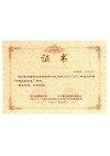 辽宁省十强服装企业